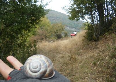 Les montagnes à vélo : vitesse escargot – Biking in the mountains: snail speed