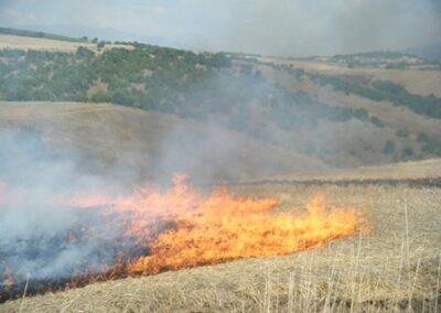 C’est l’époque où les agriculteurs brûlent leurs terres pour les enrichir – avec une tranchée labourée autour du champ pour contenir le feu – Now is the time when farmers burn their fields to enrich them – with a plowed trench around the field to contain the fire