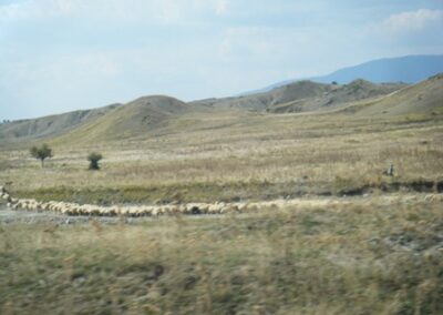 Prairies verdoyantes et eaux calmes ! Nous ne manquons de rien ! – Green pastures and quiet waters! We lack nothing!